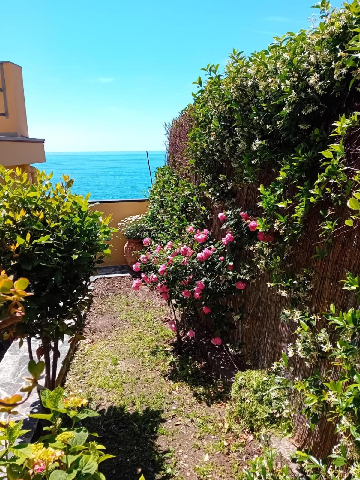 Raggio Di Luna Manarola Bagian luar foto